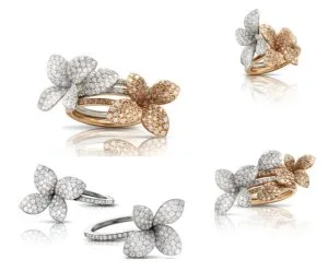 Pasquale Bruni: Petit Garden