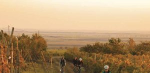 S E R V E - The French legacy